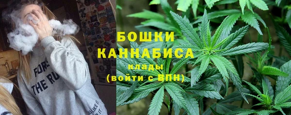PSILOCYBIN Армянск