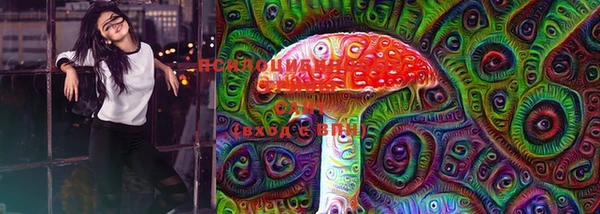 бошки Костерёво