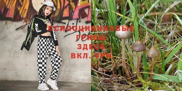 таблы Коряжма