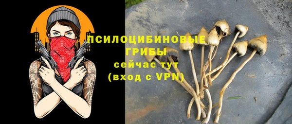 PSILOCYBIN Армянск