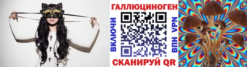 даркнет сайт Ак-Довурак Галлюциногенные грибы Cubensis